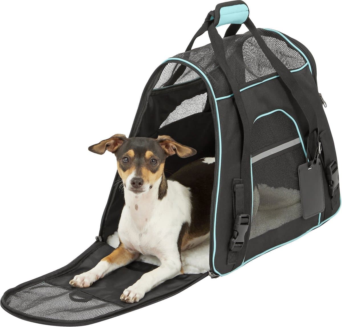 black soft-sided carrier with small dog