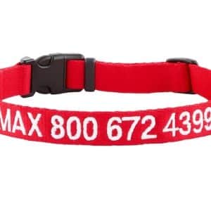 gotags personalized collar