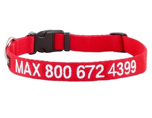 gotags personalized collar