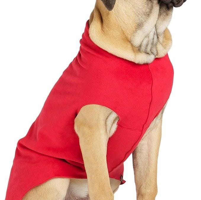 The 11 Best Dog Fleeces for Chilly Weather