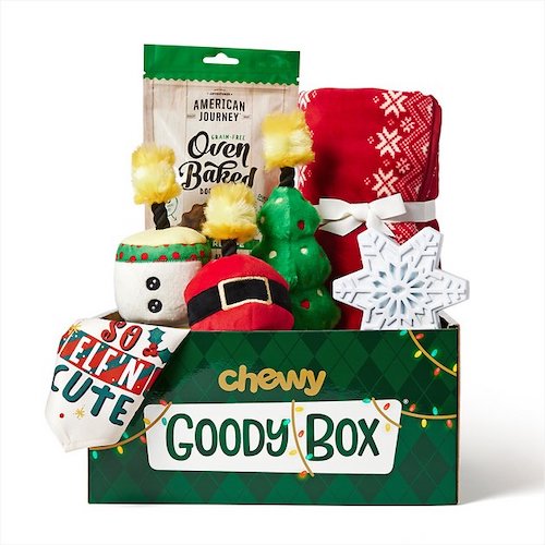 Holiday Goody Box with toys, treats, accessories