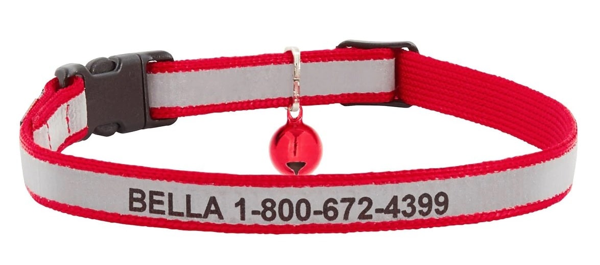red personalized ID cat collar