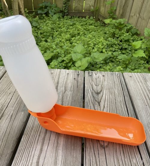 Orange Gulpy Dog Water Bottle