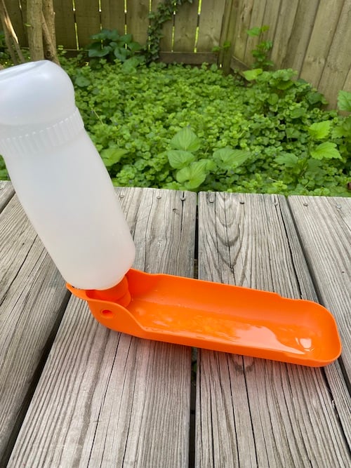 Orange Gulp Dog Water Bottle