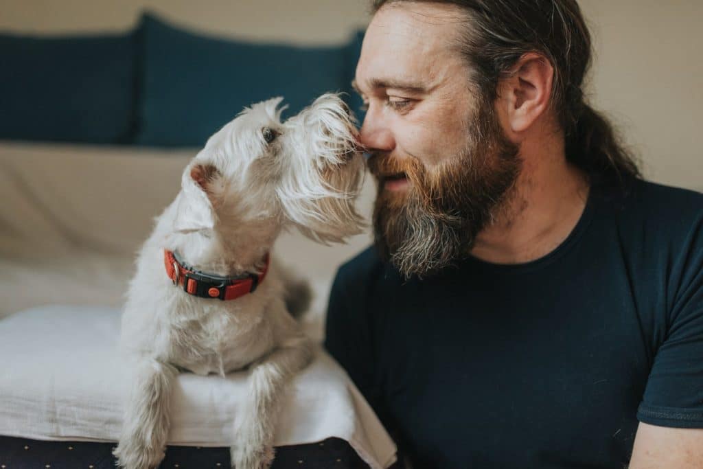 A happy dog and their owner