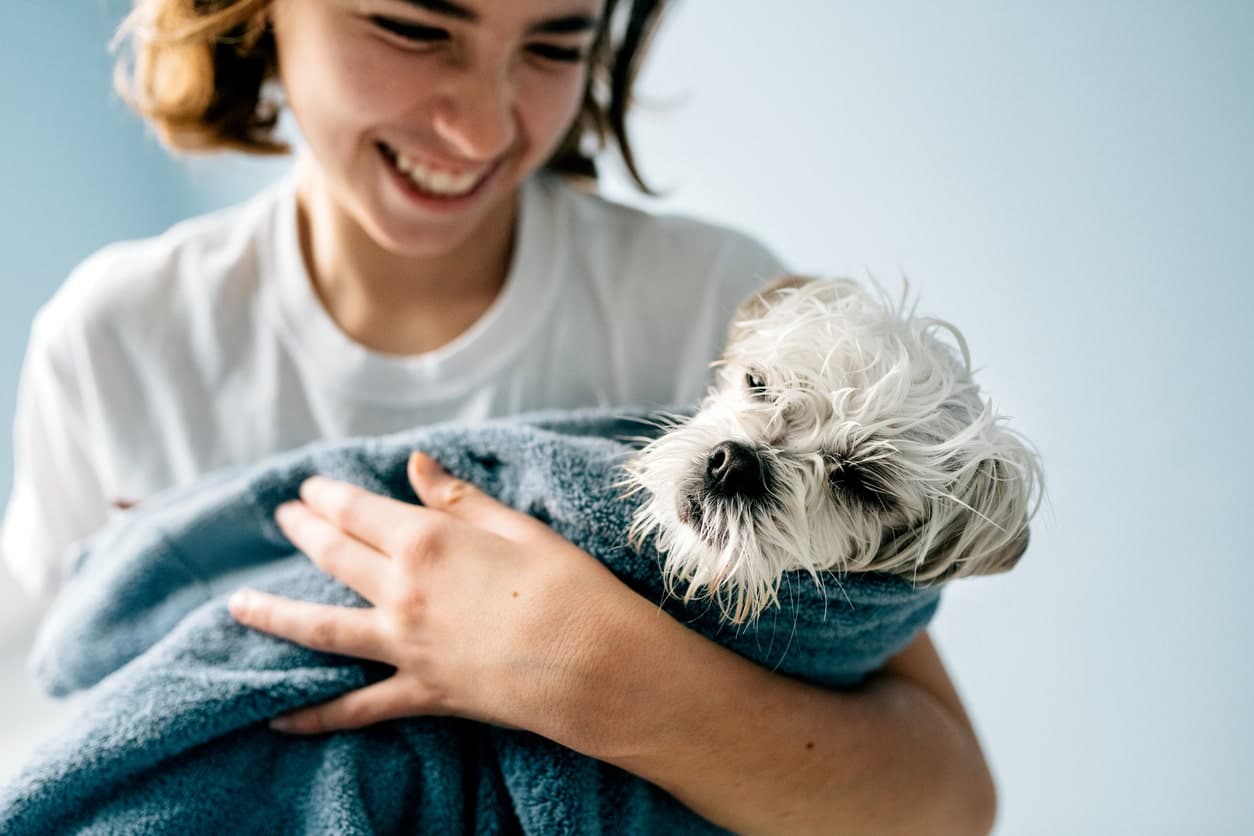 My Dog Hates the Bath: 8 Steps to Bathing Your Scared Dog