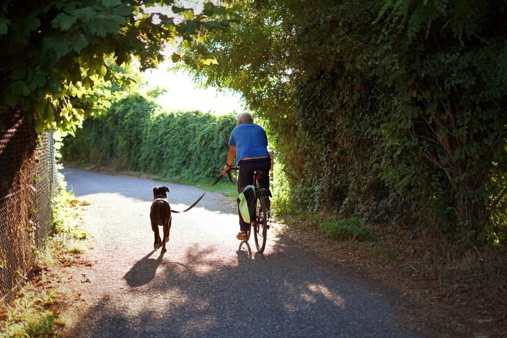 A happy pet parent and dog biking on a trail 