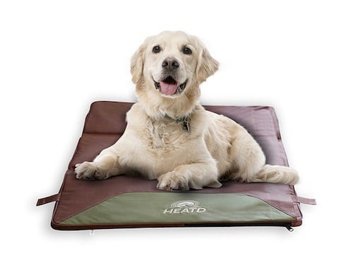 heatd dog bed with labrador retriever sitting on it
