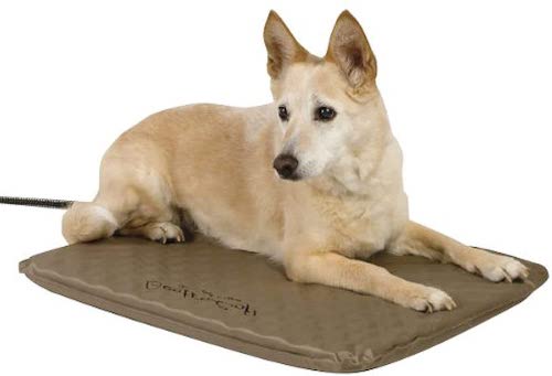 Dog on heated pet mat
