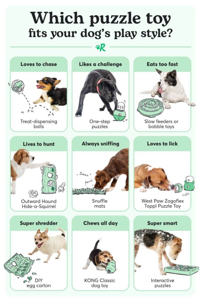 Infographic showing how to choose the best puzzle toy for your dog based on the way they like to play or be mentally stimulated.