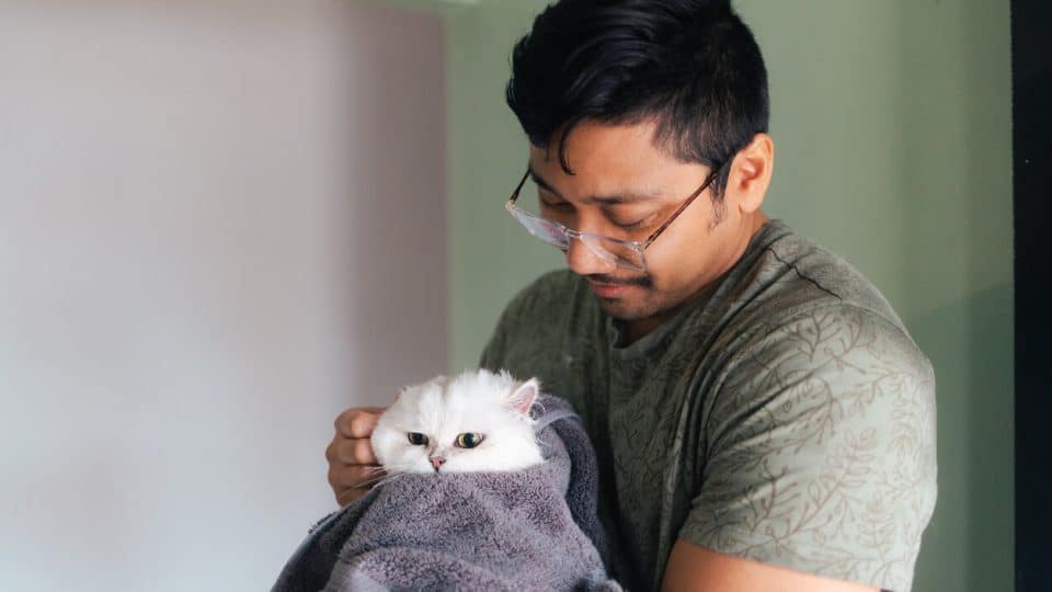 Person holding cat wrapped in towel