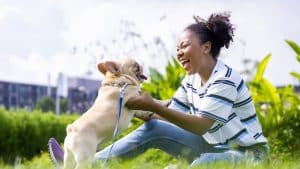 African American woman is playing with her french bulldog puppy in park