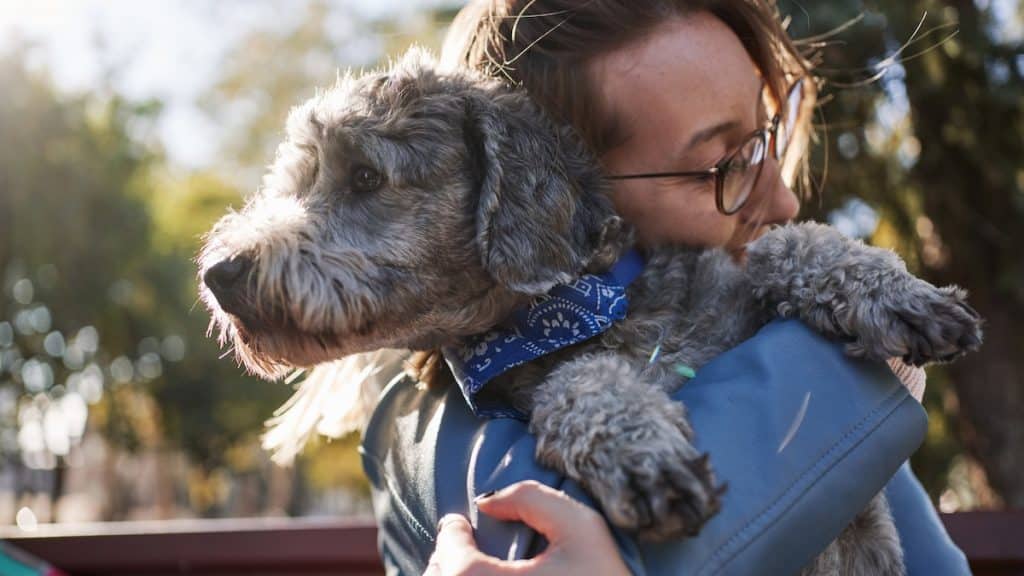 Woman hugging doodle dog in sunny park