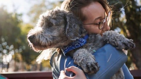 Woman hugging doodle dog in sunny park