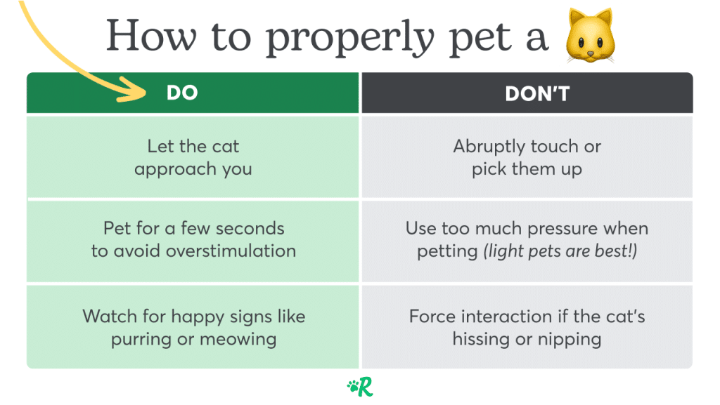 Rover chart outlining the do's and don'ts' to pet a cat