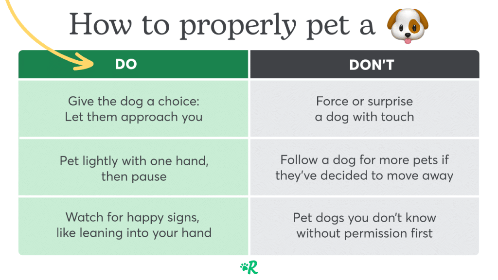 A yes/no chart providing information on how to pet a dog properly