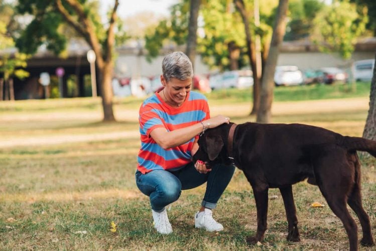 Person playing ball with dog in park