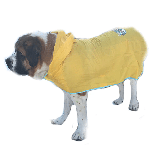HugeHounds raincoat