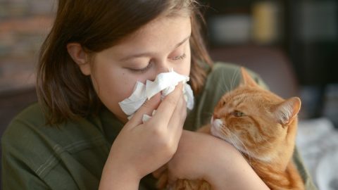 Woman blowing her nose while holding ginger cat
