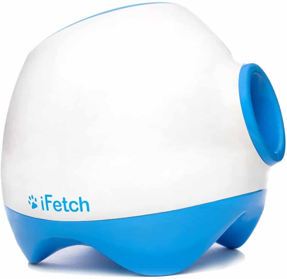 blue and white iFetch ball launcher
