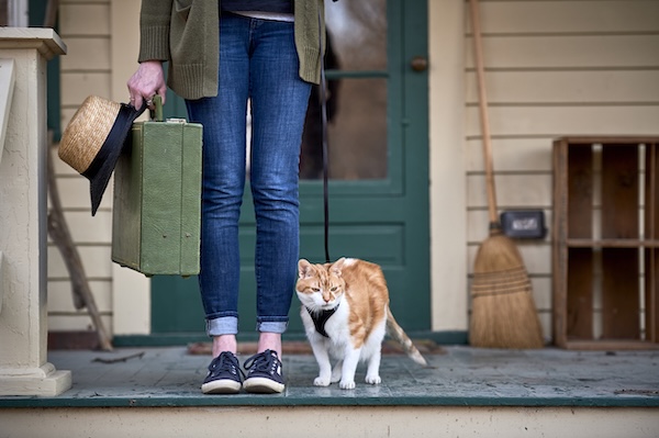 Woman and cat on leash standing on porch with suitcase