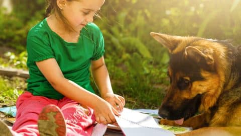 Young child showing german shepherd a piece of paper