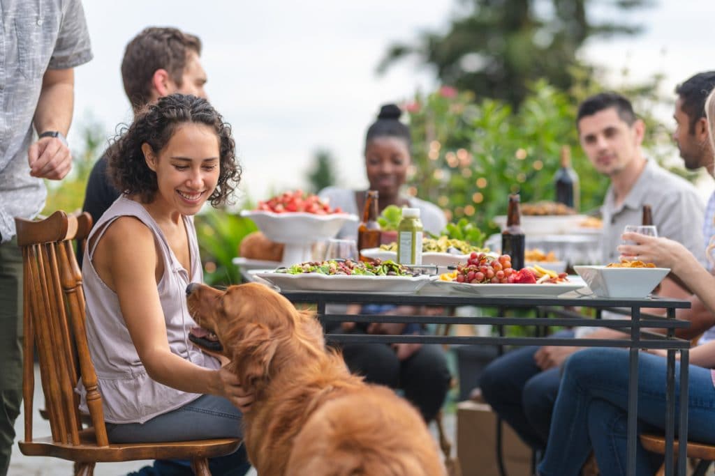 A multiethnic group of young friends enjoy good food and conversation together on a terrace outside on a summer evening. A woman in the foreground is affectionately petting a dog that came over to the table.