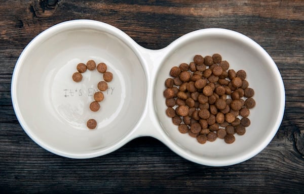 Two dog food bowls, one with kibble arranged into a question mark, one full