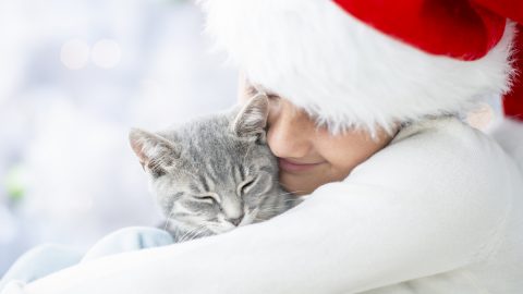 A young girl is wearing a Santa hat and cuddling her cute kitten.