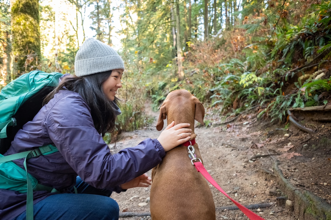 Young woman stops on trail to pet her Vizsla dog. North Vancouver, British Columbia, Canada.