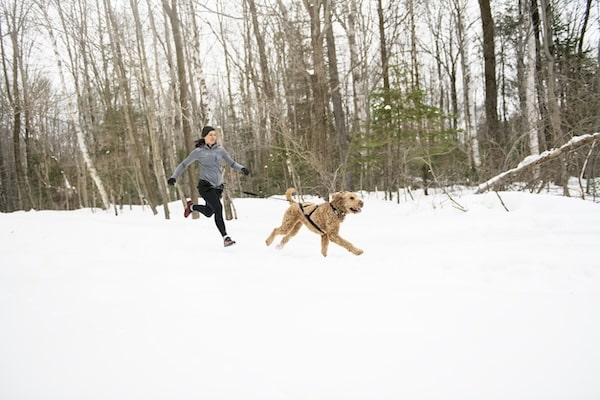 Woman running canicross with dog in snow