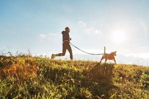 Man runs with his beagle on a sunny morning