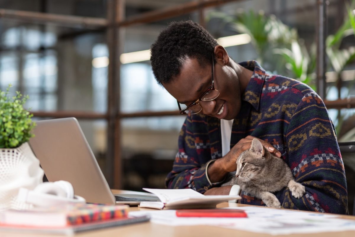 Having a pet. A man doing his office tasks with a cat in his hands