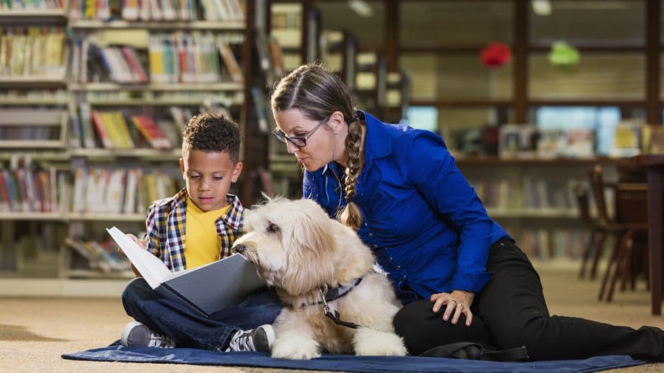 A little boy reading in the library with a therapy dog, a Goldendoodle, and a librarian