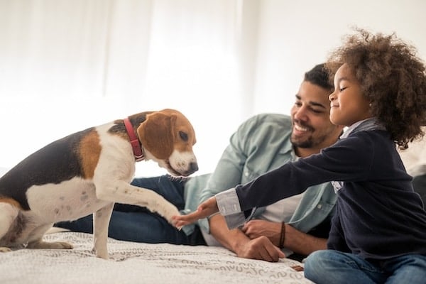 Portrait father and daughter enjoying spending time with dog at home