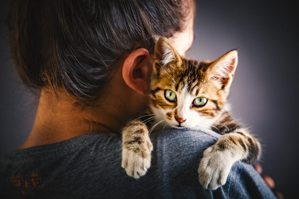 a woman holds her cat, who is looking at the camera