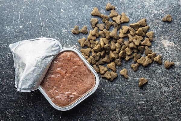 Wet and dry dog food open on table