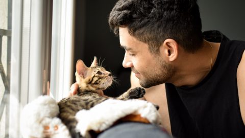 A bengal baby getting petted by a loving man.