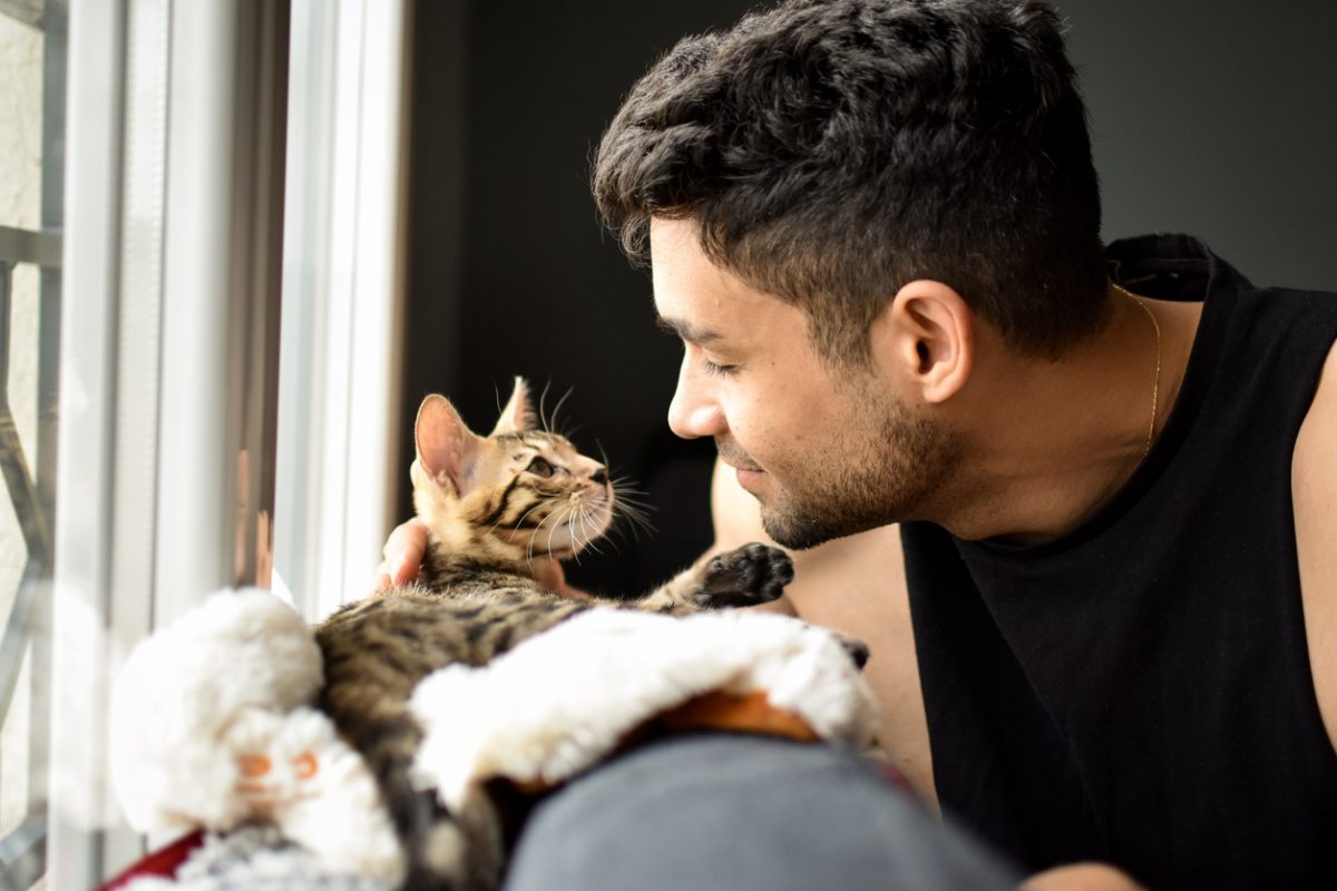 8 Ways to Say 'I Love You' in Cat Language