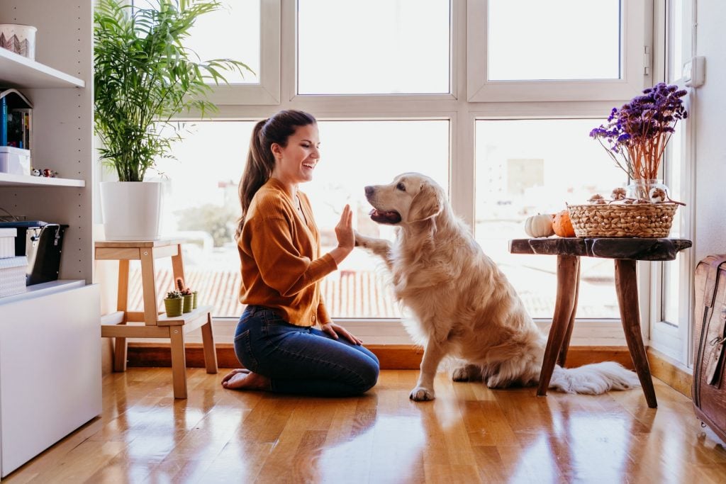 A woman giving her dog a high five