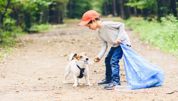 Jack Russell Terrier and boy gather garbage in park