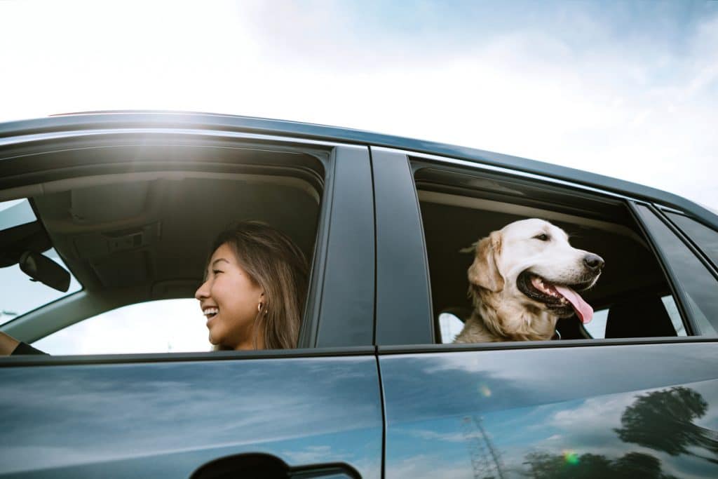 young woman enjoys spending time with her Golden Retriever while driving her vehicle on a sunny day