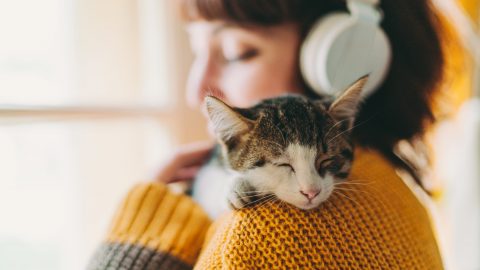 Cat with warm ears cuddling with a woman