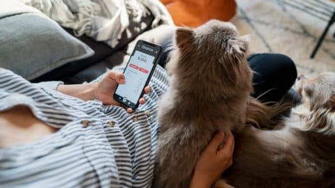 Woman checking a finance app whilst relaxing with her dogs at home