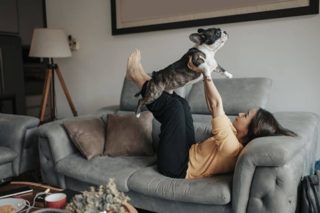 an asian woman bonding time with her pet french bulldog on sofa