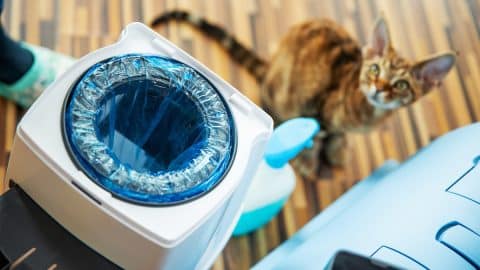Freshly Cleaned Cat Litter Disposal System Ready to Use