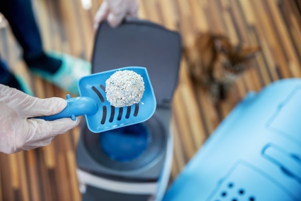 Scoop holding clumped cat litter over trash can