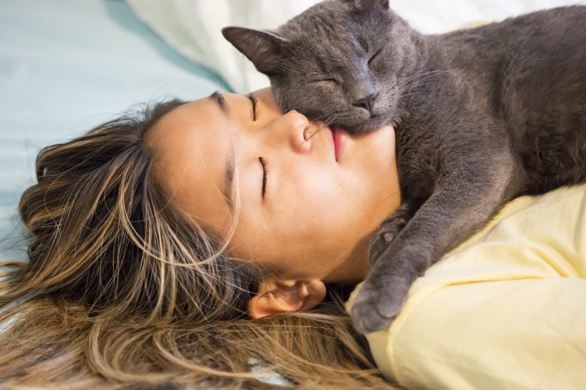 Why Does Your Cat Want to Sleep With You? 