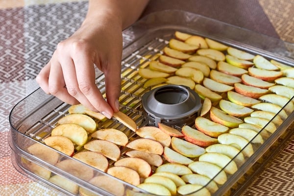 Hand lays cut apples on dehydrator tray