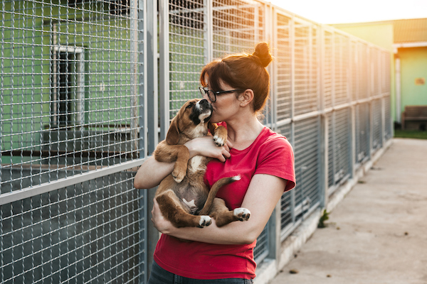 Woman kisses dog outside shelter